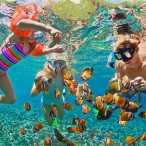 Similan island day trip by speedboat. Price adult 2,700 baht per person Children 4-11 year price 2,500 baht